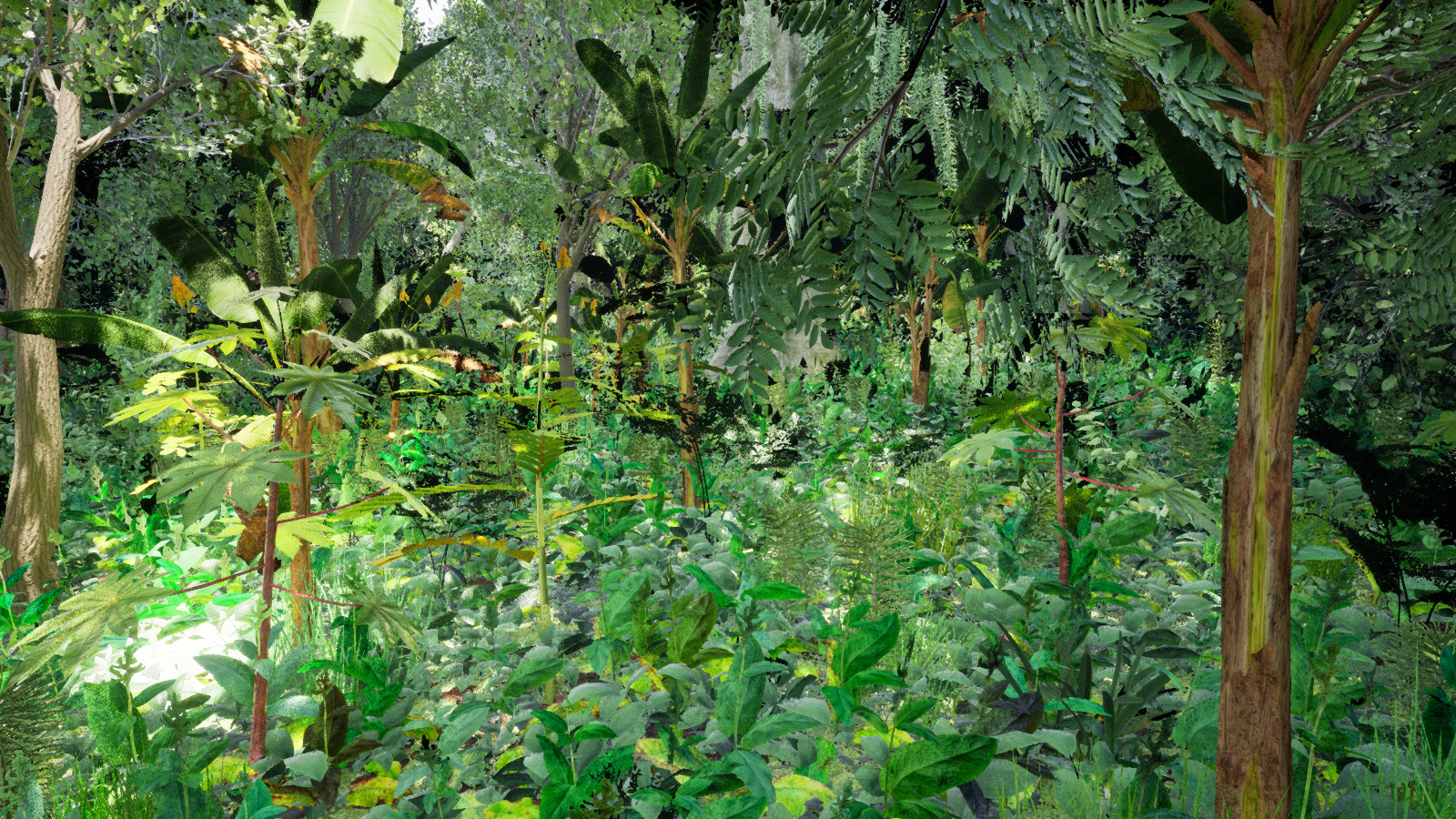A physical camera inside dense Jungle foliage, with broad leaves, palms, ferns and trees