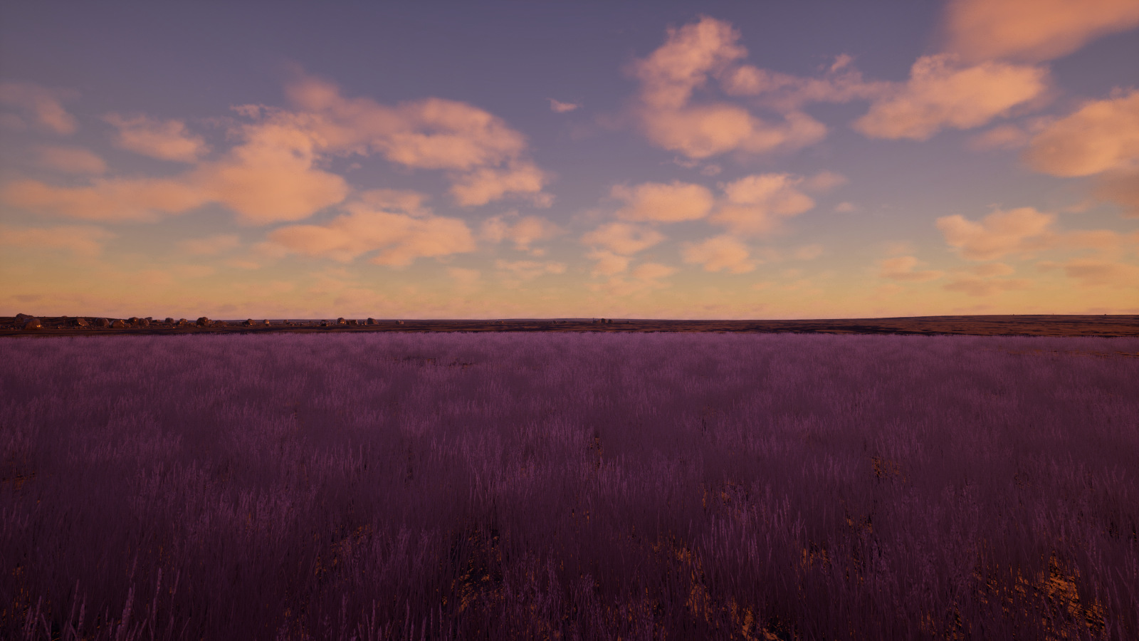 A violet prairie stretching toward the horizon beneath the orange and purple light of the Obsidian Steppe
